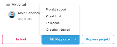 projektrapport-projektoversikt.PNG